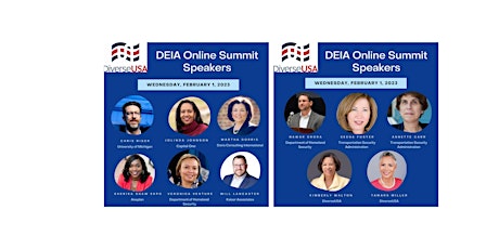 Feb 1, 2023 DEIA Online Summit for Government Agencies & Non-Profits