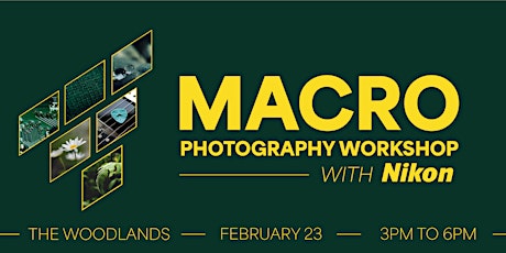 Free Macro Photography Workshop with Nikon