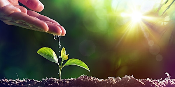 Free Hawke's Bay 7 Ways to Grow Your Business Seminar