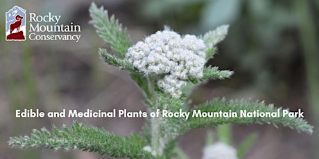 Edible & Medicinal Plants of Rocky Mountain National Park