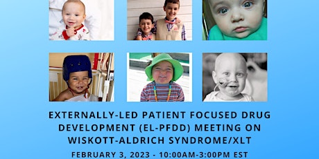 Wiskott-Aldrich Foundation Externally-Led Patient Focused Drug Development