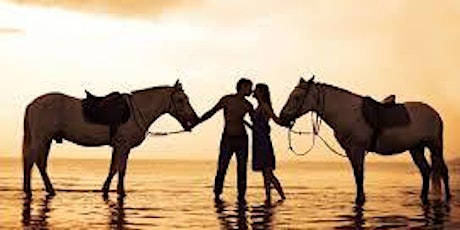 Valentine's Date Night! Horse Experience