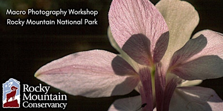 Macro Photography Workshop in Rocky Mountain National Park