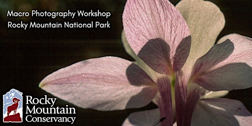 Macro Photography Workshop in Rocky Mountain National Park primary image