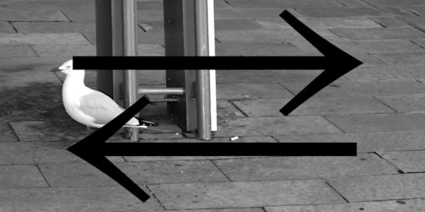 Rendering the Invisible Visible