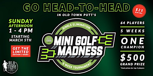 Mini Golf Madness Tournament