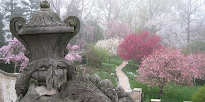 2023 Daily Tickets | Dumbarton Oaks Gardens primary image