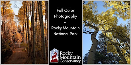 Hauptbild für Fall Color Photography in Rocky Mountain National Park