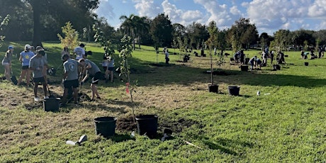 Intracoastal Park Tree Planting | Volunteers