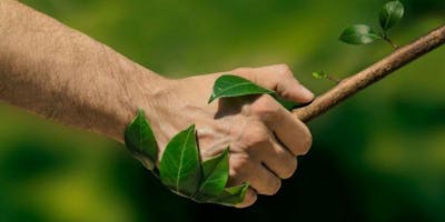 Corso di formazione gratuito "IL RUOLO DELL'ASSICURATORE AMBIENTALE" Corso di formazione gratuito "IL RUOLO DELL'ASSICURATORE AMBIENTALE"
