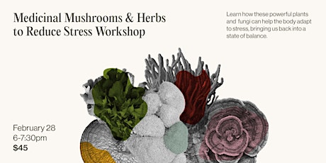 Medicinal Mushrooms & Herbs to Reduce Stress Workshop