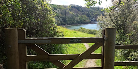 St Anthony Head Nordic Walk for Fal River Festival primary image