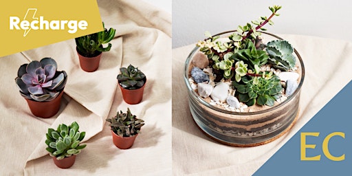 Jar and Fern  Succulent Terrarium Workshop