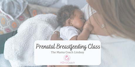 Prenatal Feeding Workshop primary image