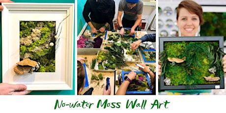 No-water  Moss  Wall Art Workshop - 8" x 10" frame