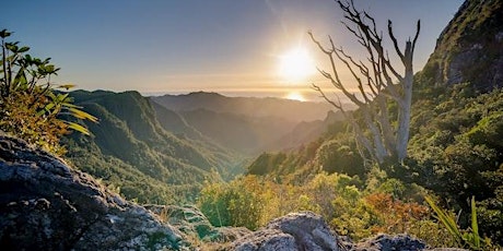 Hauptbild für Rewilding Retreat