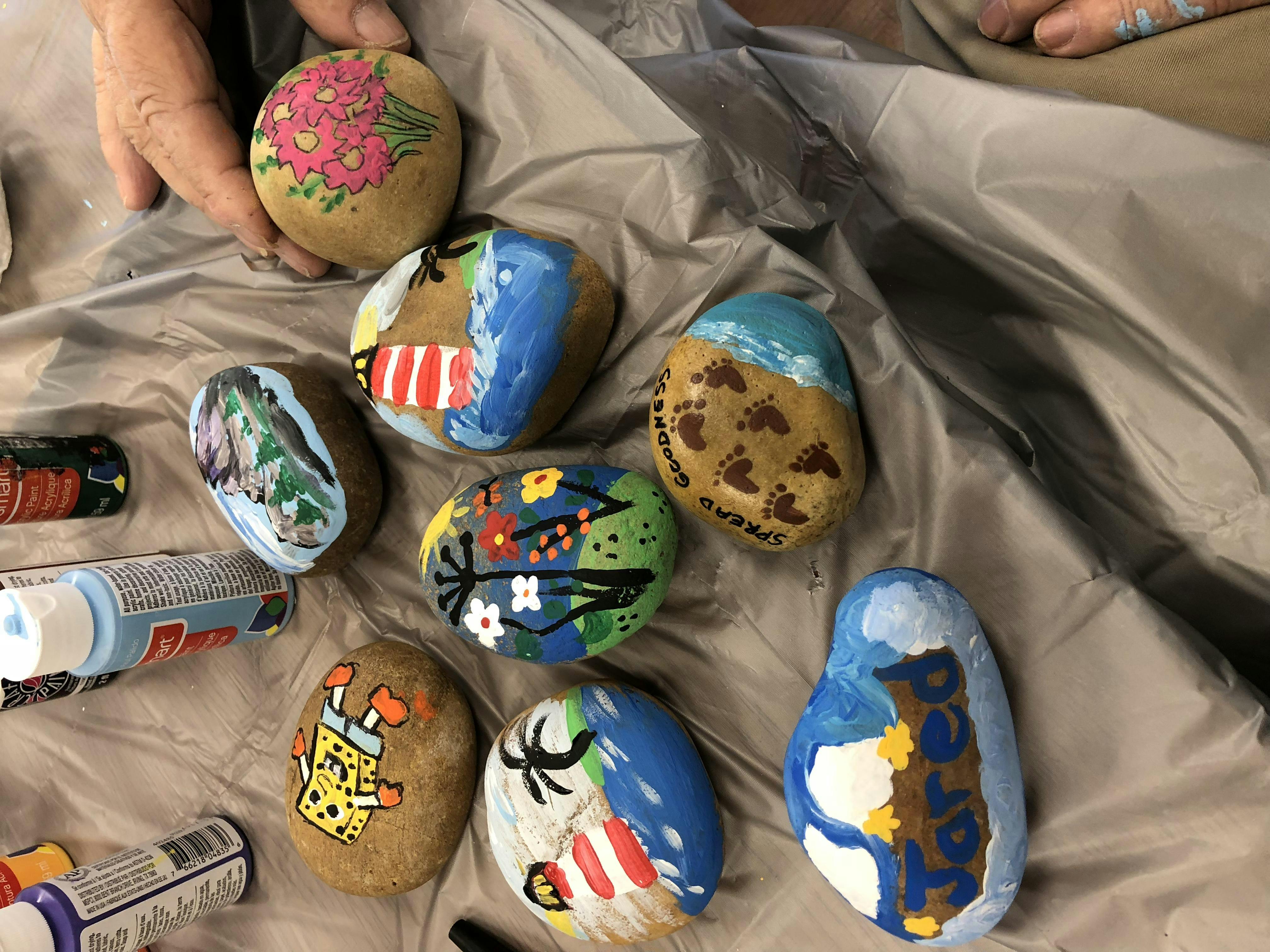 Self Care Sunday Live - Stress Reduction/Rock Painting