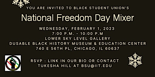 National Freedom Day Mixer