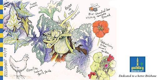 Autumn in the veggie Patch - Nature Journaling  for  gardeners 2nd session