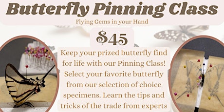 Butterfly Pinning