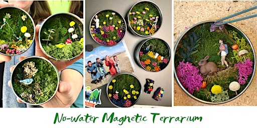 No-water Magnetic Terrarium