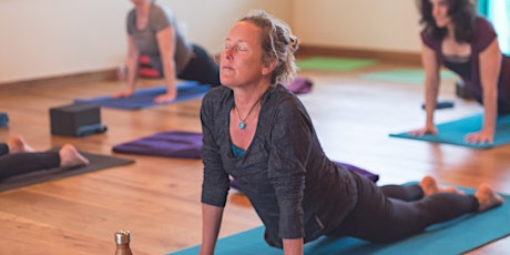 Yoga Outreach Teacher Training - Pathway 1 with Yogahood Australia primary image