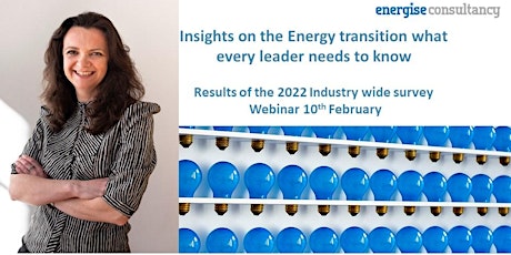 Industry insights on the energy transition - what all leaders need to know