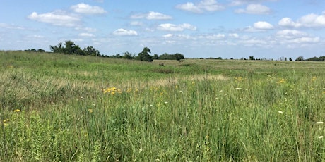 Increasing the Participation of Underserved Landowners in CRP (Mississippi)