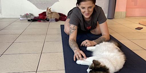 Primaire afbeelding van Kitty Yoga