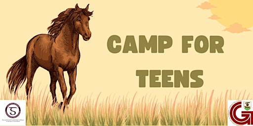 Horses Connect Camp