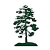 Logotipo da organização Pine Lane Nursery