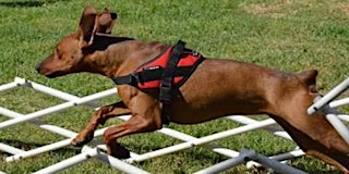 Image principale de Training Class - Total Recall