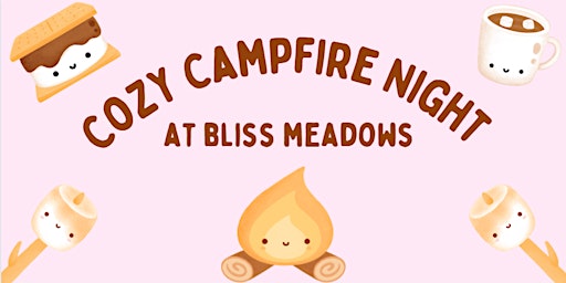 Cozy Campfire Night!