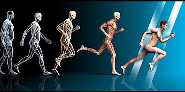 Introduction to Physiotherapy