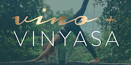 Vino & Vinyasa primary image