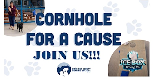 4th Annual DACHS Cornhole for a Cause
