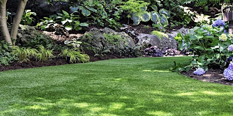 Healthy Lawn Care, by Dr. Eric Lyons