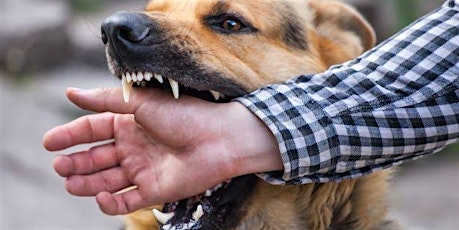 Preventing Dog Attacks