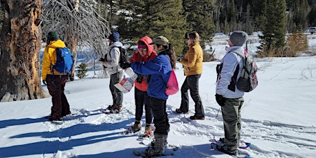 Let's Go Birding Together ON SNOWSHOES with Cottonwood Canyons Foundation