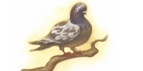Story Time: Fly, Cher Ami, Fly!: The Pigeon Who Saved the Lost Battalion  primary image