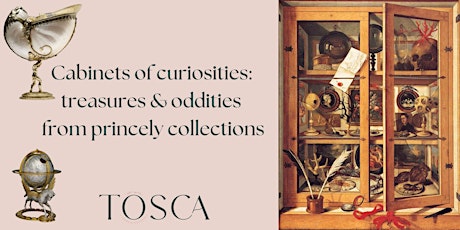 Art History Talk - Cabinets of Curiosities