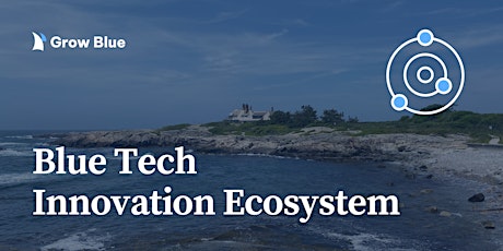 Blue Tech Innovation Ecosystem