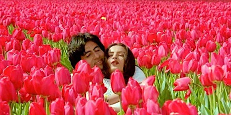 Photoshoot tulip fields (Bollywood style) primary image
