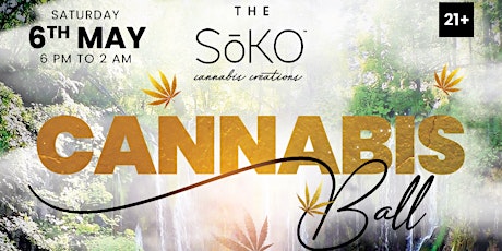 The SoKO Cannabis Ball Miami Mansion