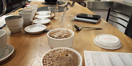 Introduction to Coffee Cupping