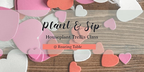 Plant & Sip | Houseplant Trellis