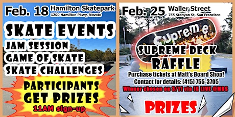 Skate Park Tour
