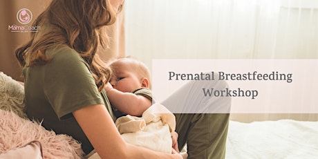Prenatal Breastfeeding Workshop