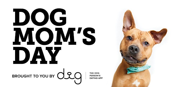 DOG MOM'S DAY - NYC