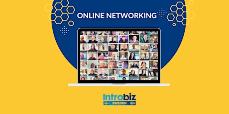 Online Networking Session - Introbiz Sweden  primärbild